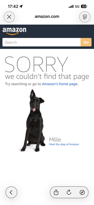 SORRY page after login